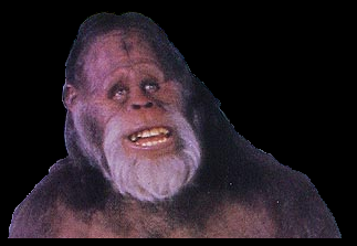 harry2.jpg